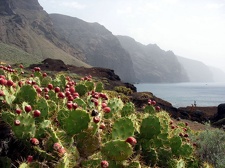 Остров Тенерифе