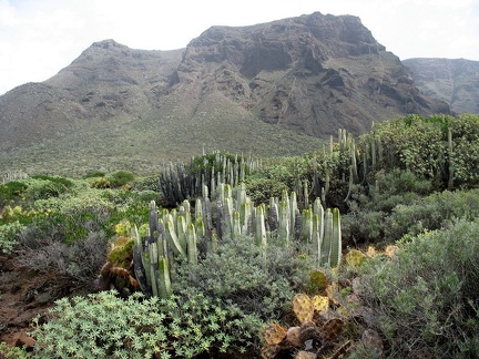 Остров Тенерифе