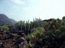 Остров Тенерифе