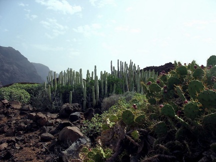 Остров Тенерифе