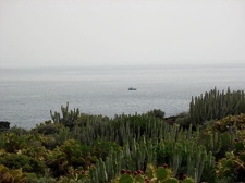 Остров Тенерифе