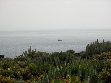 Остров Тенерифе