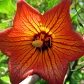 ten_IMG_4289.jpg