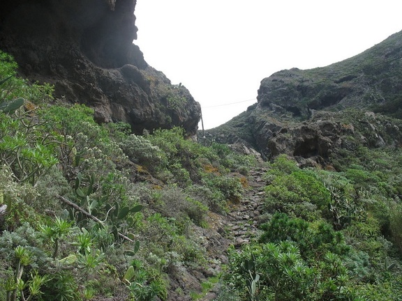 Остров Тенерифе