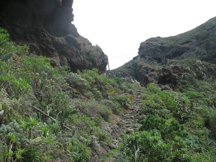 Остров Тенерифе