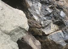 Остров Тенерифе