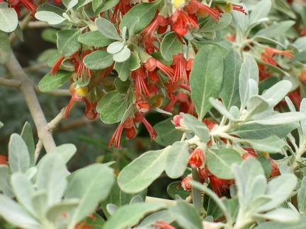 Остров Тенерифе