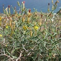 ten_IMG_4332.jpg