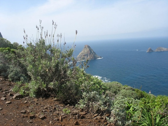 Остров Тенерифе