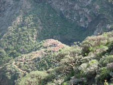 Остров Тенерифе