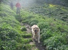 Остров Тенерифе