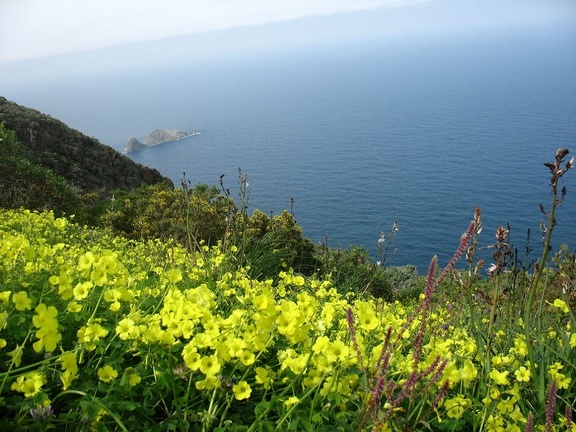 Остров Тенерифе