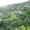 ten_IMG_4366.jpg