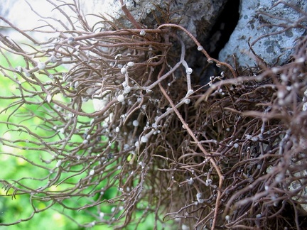 Остров Тенерифе