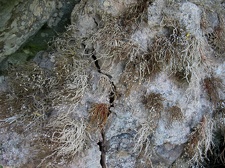 Остров Тенерифе