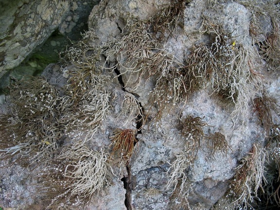 Остров Тенерифе