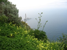 Остров Тенерифе