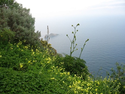 Остров Тенерифе