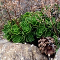 ten_IMG_4451.jpg