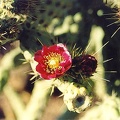 Tucson-13.jpg