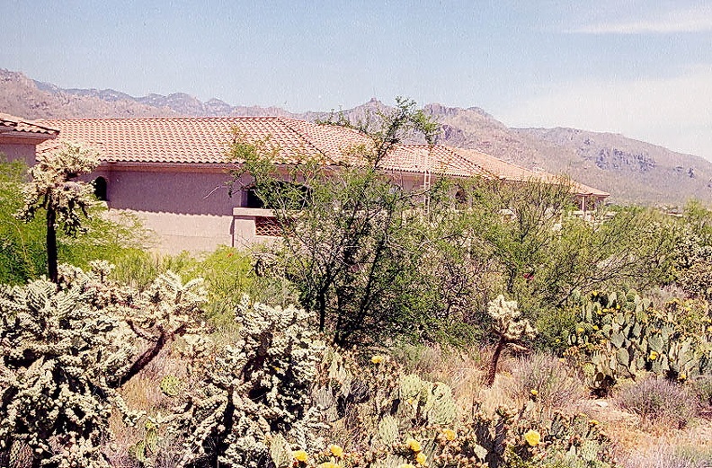 Tucson-19.jpg