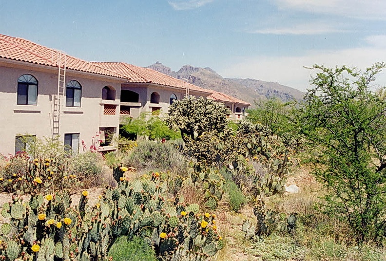 Tucson-8.jpg