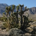 usa_0687.JPG