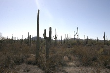 Поездка Олега Ковтуна (Украина) и Сергея Демо (США) в ноябре 2009