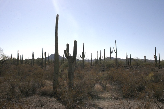 Поездка Олега Ковтуна (Украина) и Сергея Демо (США) в ноябре 2009