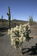 Поездка Олега Ковтуна (Украина) и Сергея Демо (США) в ноябре 2009