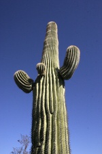 Поездка Олега Ковтуна (Украина) и Сергея Демо (США) в ноябре 2009