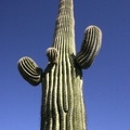 usa_2144.JPG