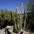usa_2155.JPG