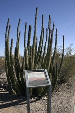 Поездка Олега Ковтуна (Украина) и Сергея Демо (США) в ноябре 2009