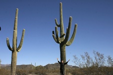 Поездка Олега Ковтуна (Украина) и Сергея Демо (США) в ноябре 2009