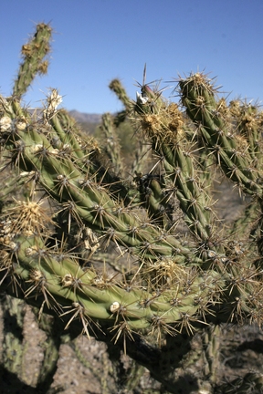 Поездка Олега Ковтуна (Украина) и Сергея Демо (США) в ноябре 2009