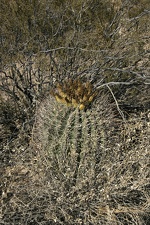 Поездка Олега Ковтуна (Украина) и Сергея Демо (США) в ноябре 2009