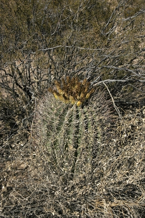 Поездка Олега Ковтуна (Украина) и Сергея Демо (США) в ноябре 2009