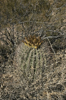 Поездка Олега Ковтуна (Украина) и Сергея Демо (США) в ноябре 2009