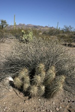 Поездка Олега Ковтуна (Украина) и Сергея Демо (США) в ноябре 2009