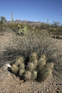 Поездка Олега Ковтуна (Украина) и Сергея Демо (США) в ноябре 2009