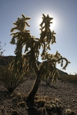 Поездка Олега Ковтуна (Украина) и Сергея Демо (США) в ноябре 2009