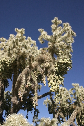 Поездка Олега Ковтуна (Украина) и Сергея Демо (США) в ноябре 2009