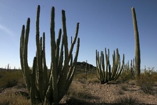 Поездка Олега Ковтуна (Украина) и Сергея Демо (США) в ноябре 2009