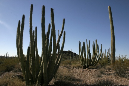 Поездка Олега Ковтуна (Украина) и Сергея Демо (США) в ноябре 2009