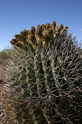 Поездка Олега Ковтуна (Украина) и Сергея Демо (США) в ноябре 2009