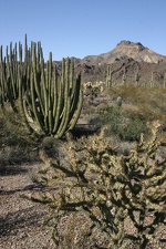 Поездка Олега Ковтуна (Украина) и Сергея Демо (США) в ноябре 2009