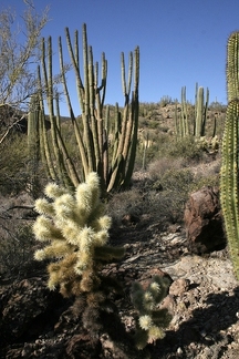 Поездка Олега Ковтуна (Украина) и Сергея Демо (США) в ноябре 2009