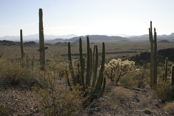 Поездка Олега Ковтуна (Украина) и Сергея Демо (США) в ноябре 2009