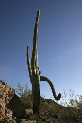 Поездка Олега Ковтуна (Украина) и Сергея Демо (США) в ноябре 2009